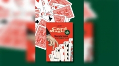 Curlys Secrets (English) by Marcelo Insua