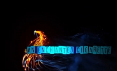 An Enchanted Cigarette by Amir Lustig