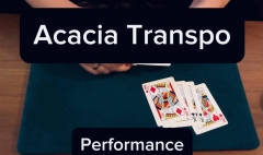 Keito K - Acacia Transpo