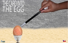 THE CARD INTO THE EGG by Alan Alfredo Marchese and Aprendemagia