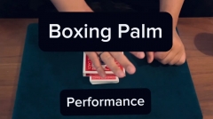 Keito K - Boxing Palm
