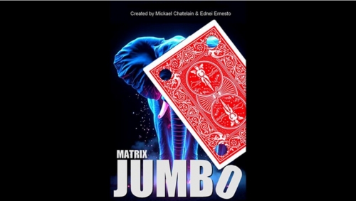 Matrix Revolution Jumbo by Mickael Chatelain Matrix Revolution Jumbo by Mickael Chatelain