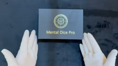 Mental Dice Pro