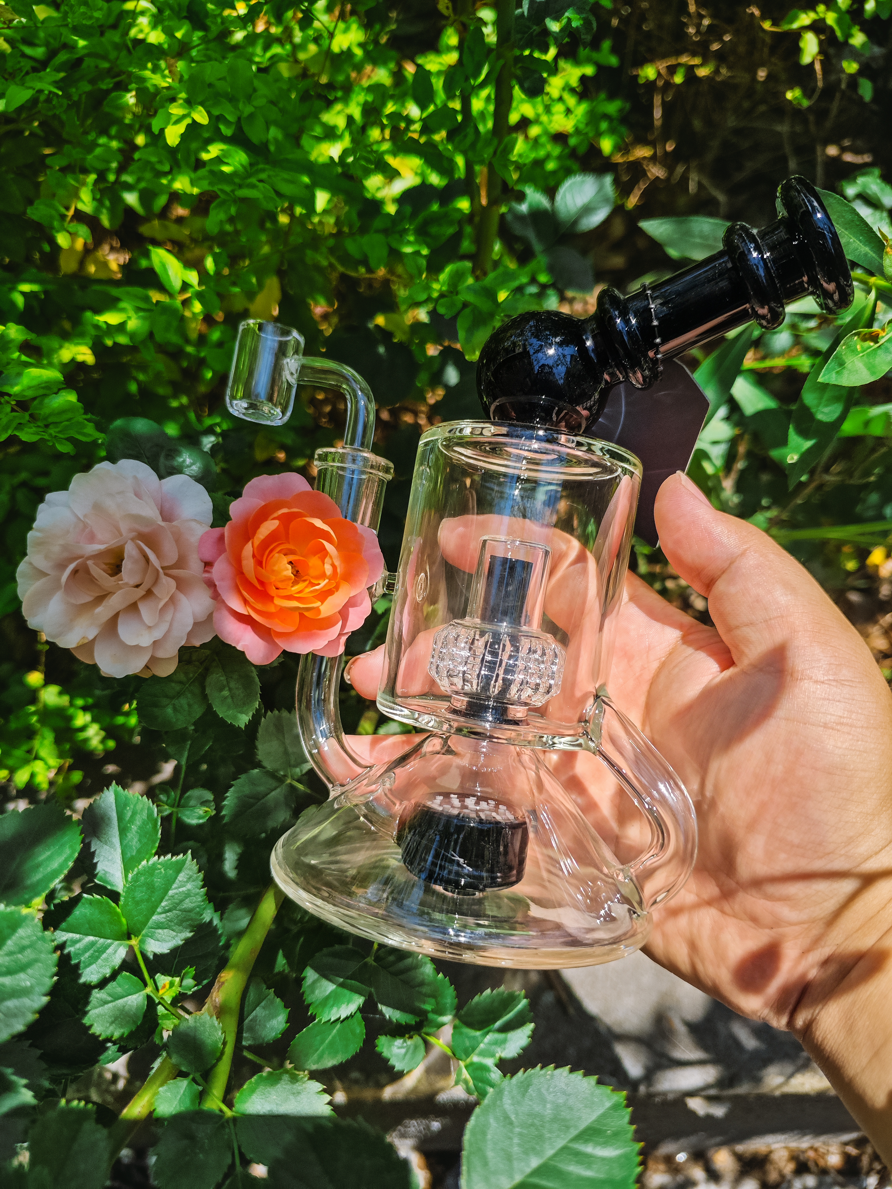 dab rig for girls
