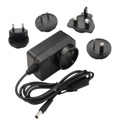 15V 1.0A interchageable Plug Power Adapter