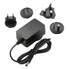 15V 1.0A interchageable Plug Power Adapter