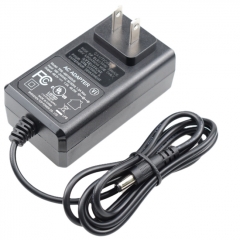 USA plug 48V 1A DC charger