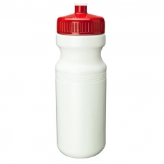 24oz BPA free Bottle with Push Pull Lid