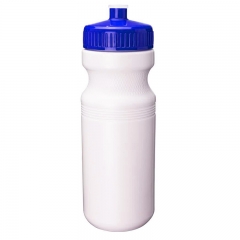 24oz BPA free Bottle with Push Pull Lid