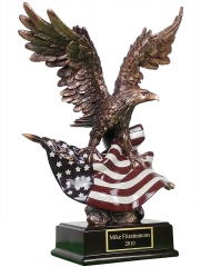 Resin Bronze Finished Award