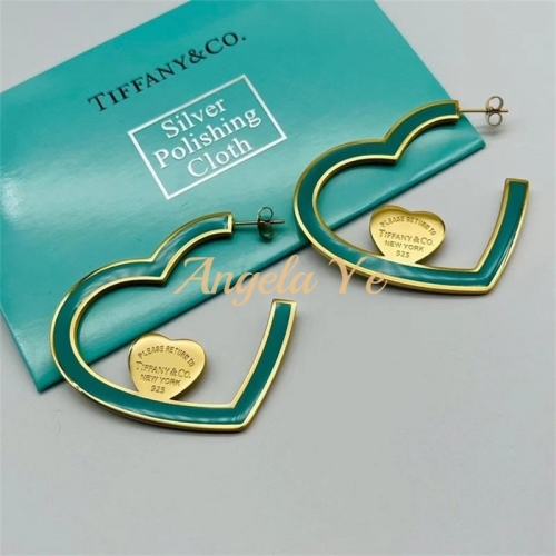 Wholesale Fashion Earrings TIY #13944