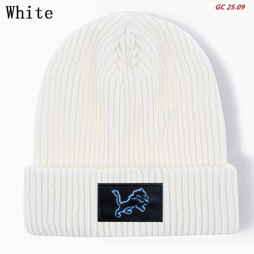 N.F.L. Beanies 1159 Men/Women