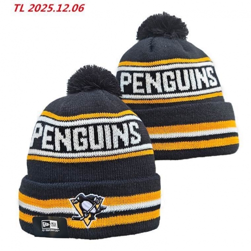 2025/26 NHL Beanies 4050 Men/Women