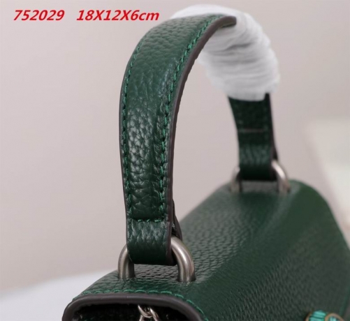 AAA -- G.u.c.c.i. Bags Part C 13814