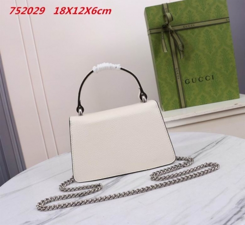 AAA -- G.u.c.c.i. Bags Part C 13828