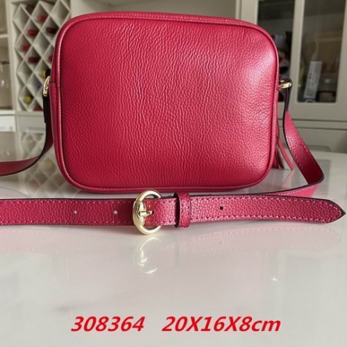 AAA -- G.u.c.c.i. Bags Part C 13174