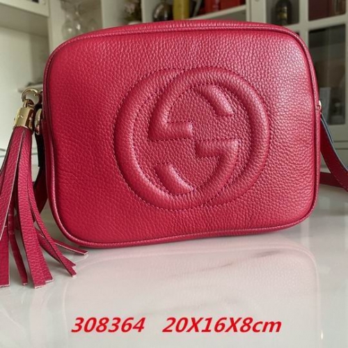 AAA -- G.u.c.c.i. Bags Part C 13173