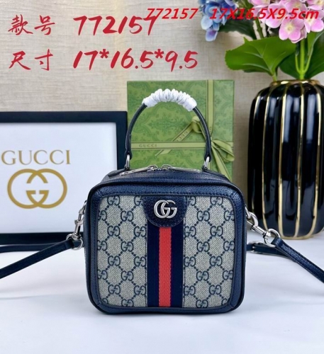 AAA -- G.u.c.c.i. Bags Part E 16787