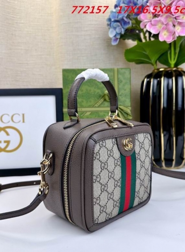 AAA -- G.u.c.c.i. Bags Part E 16794