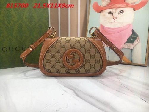 AAA -- G.u.c.c.i. Bags Part E 16405