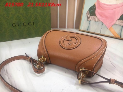 AAA -- G.u.c.c.i. Bags Part E 16409