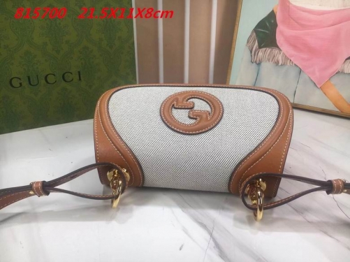 AAA -- G.u.c.c.i. Bags Part E 16396