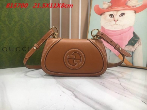 AAA -- G.u.c.c.i. Bags Part E 16411