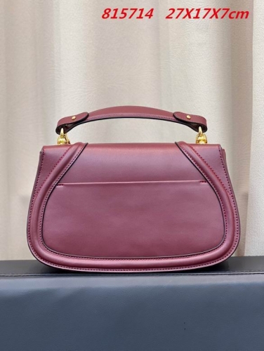 AAA -- G.u.c.c.i. Bags Part E 16330