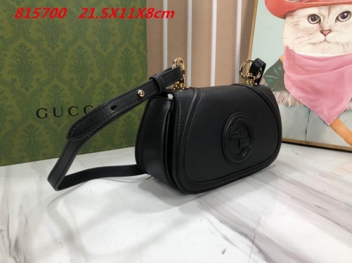 AAA -- G.u.c.c.i. Bags Part E 16422