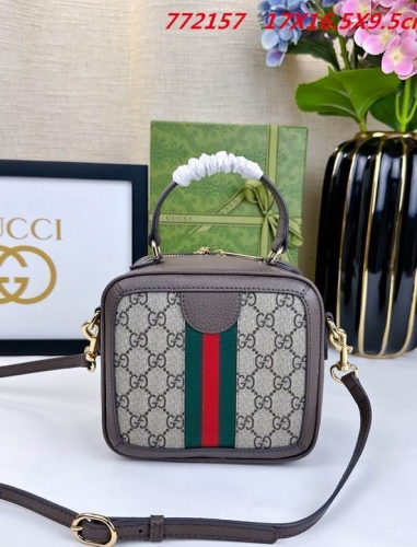 AAA -- G.u.c.c.i. Bags Part E 16792