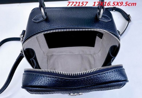 AAA -- G.u.c.c.i. Bags Part E 16780