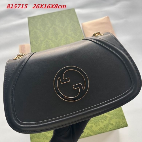 AAA -- G.u.c.c.i. Bags Part E 16550