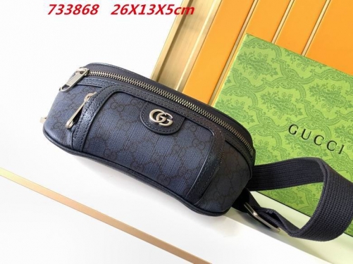 AAA -- G.u.c.c.i. Waistbag 10252