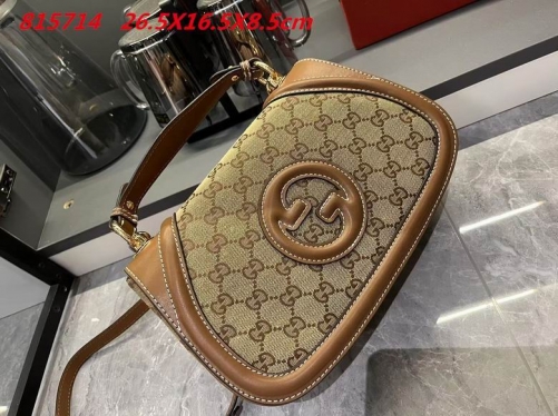 AAA -- G.u.c.c.i. Bags Part E 16570