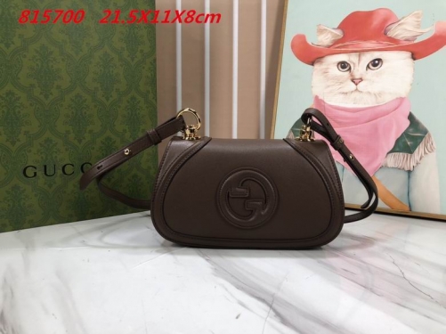 AAA -- G.u.c.c.i. Bags Part E 16435