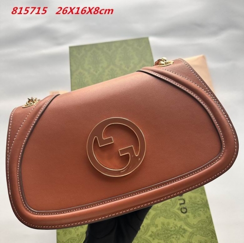 AAA -- G.u.c.c.i. Bags Part E 16541
