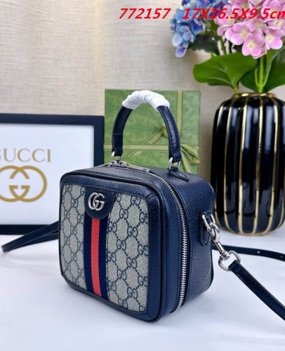 AAA -- G.u.c.c.i. Bags Part E 16785