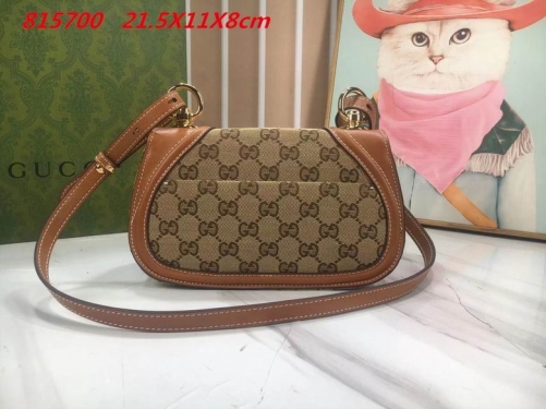 AAA -- G.u.c.c.i. Bags Part E 16404