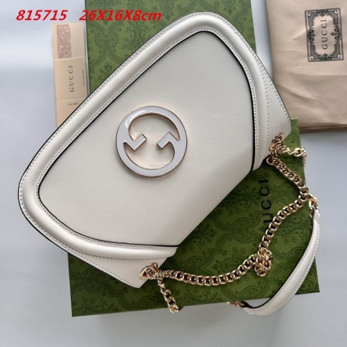 AAA -- G.u.c.c.i. Bags Part E 16533