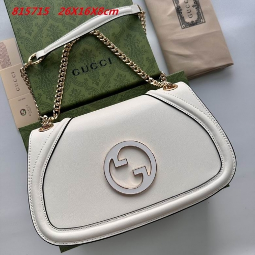 AAA -- G.u.c.c.i. Bags Part E 16537