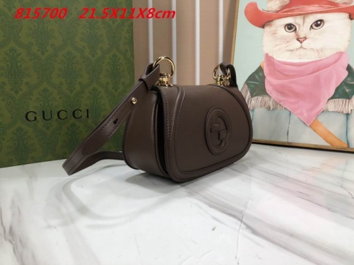 AAA -- G.u.c.c.i. Bags Part E 16434