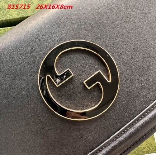 AAA -- G.u.c.c.i. Bags Part E 16553