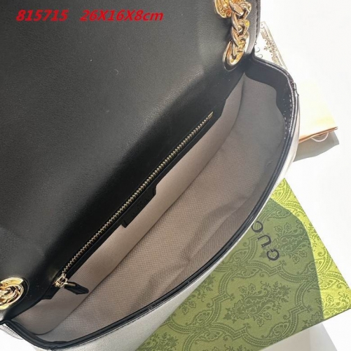 AAA -- G.u.c.c.i. Bags Part E 16551
