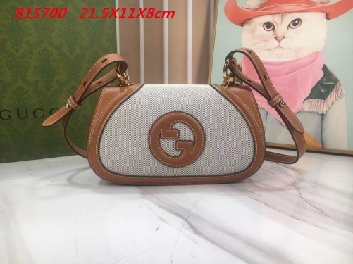 AAA -- G.u.c.c.i. Bags Part E 16399