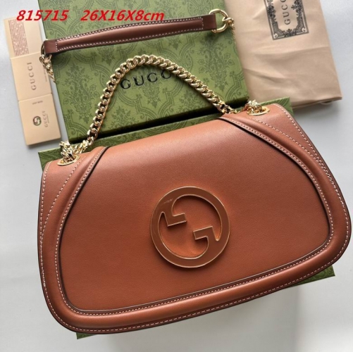 AAA -- G.u.c.c.i. Bags Part E 16543