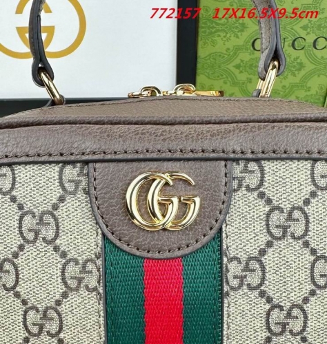 AAA -- G.u.c.c.i. Bags Part E 16790