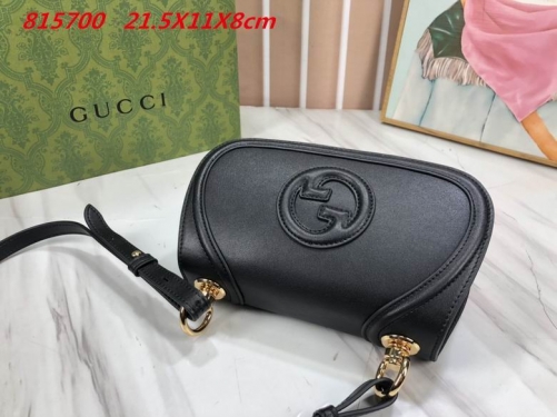 AAA -- G.u.c.c.i. Bags Part E 16420