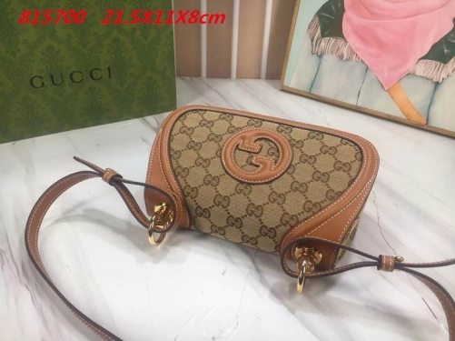 AAA -- G.u.c.c.i. Bags Part E 16403