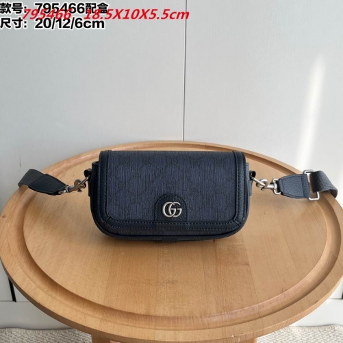 AAA -- G.u.c.c.i. Bags Part E 16301