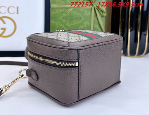 AAA -- G.u.c.c.i. Bags Part E 16791